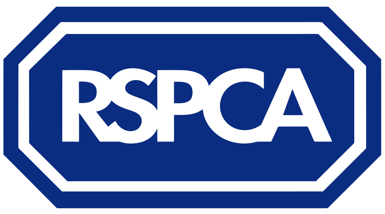 Animal Shelter & Rehoming Charity - RSPCA Brighton & The Heart of Sussex