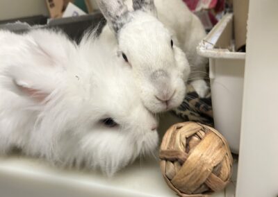 Alf and Sarina