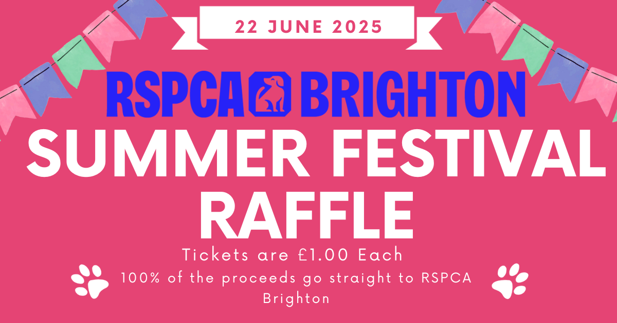 RSPCA Brighton Summer Raffle