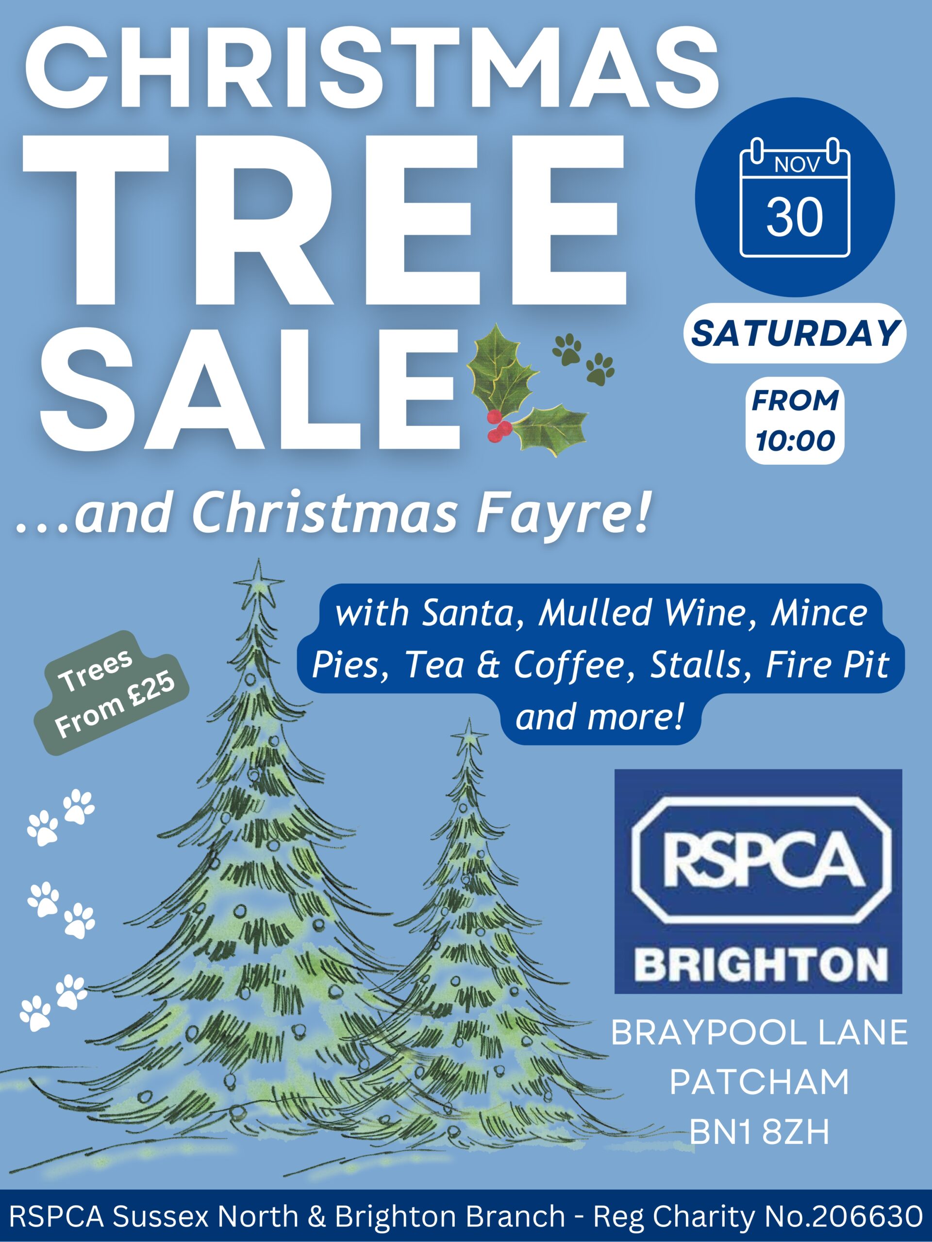 Christmas Tree Sale & Fayre 2024