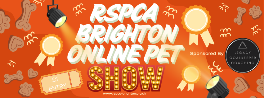 RSPCA Brighton ONLINE Pet Show!