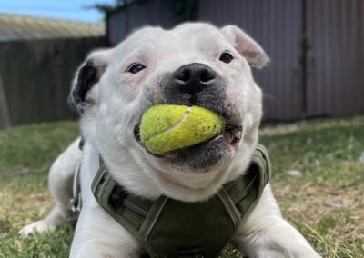 Elwood