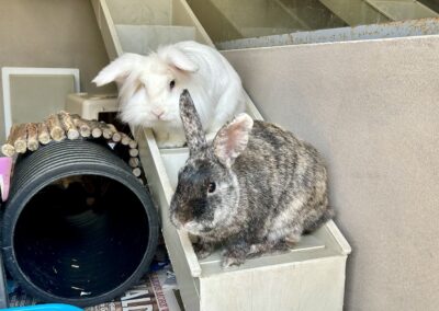 Aubin & Alaska