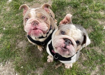 Patricia & Tallulah