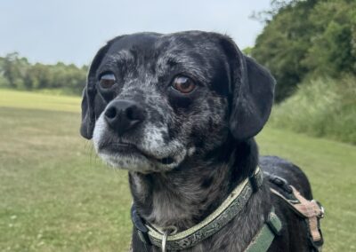 Rosie