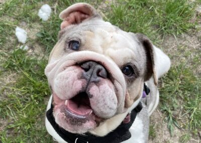 Tallulah