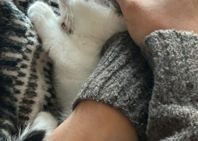Casper & Clover